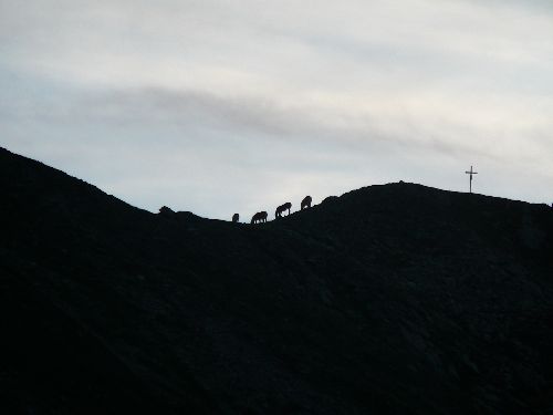 2008 Sarntaler Alpen 40