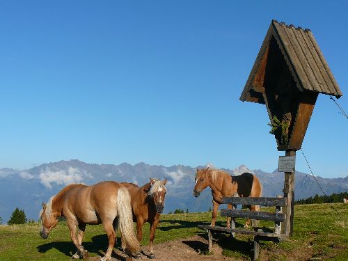 2008 Sarntaler Alpen 55