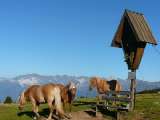 2008 Sarntaler Alpen 55