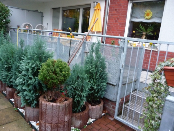 23. Blick vom Rosenbogen zum Balkon
