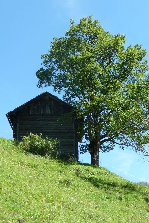 Foto 14