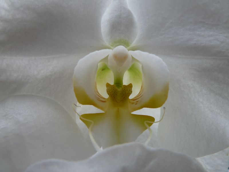 Foto 50