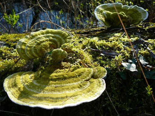 Foto 31